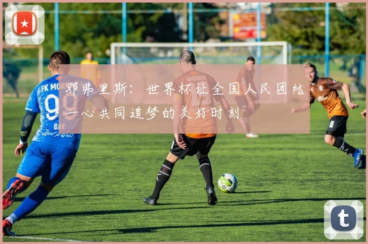 邓弗里斯：世界杯让全国人民团结一心共同追梦的美好时刻