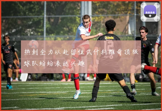 热刺全力以赴留住武什科维奇顶级球队纷纷表达兴趣
