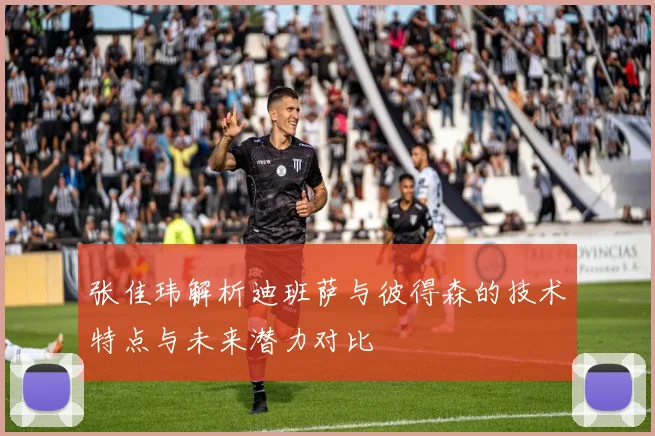 张佳玮解析迪班萨与彼得森的技术特点与未来潜力对比