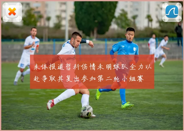 米体报道哲科伤情未明球队全力以赴争取其复出参加第二轮小组赛